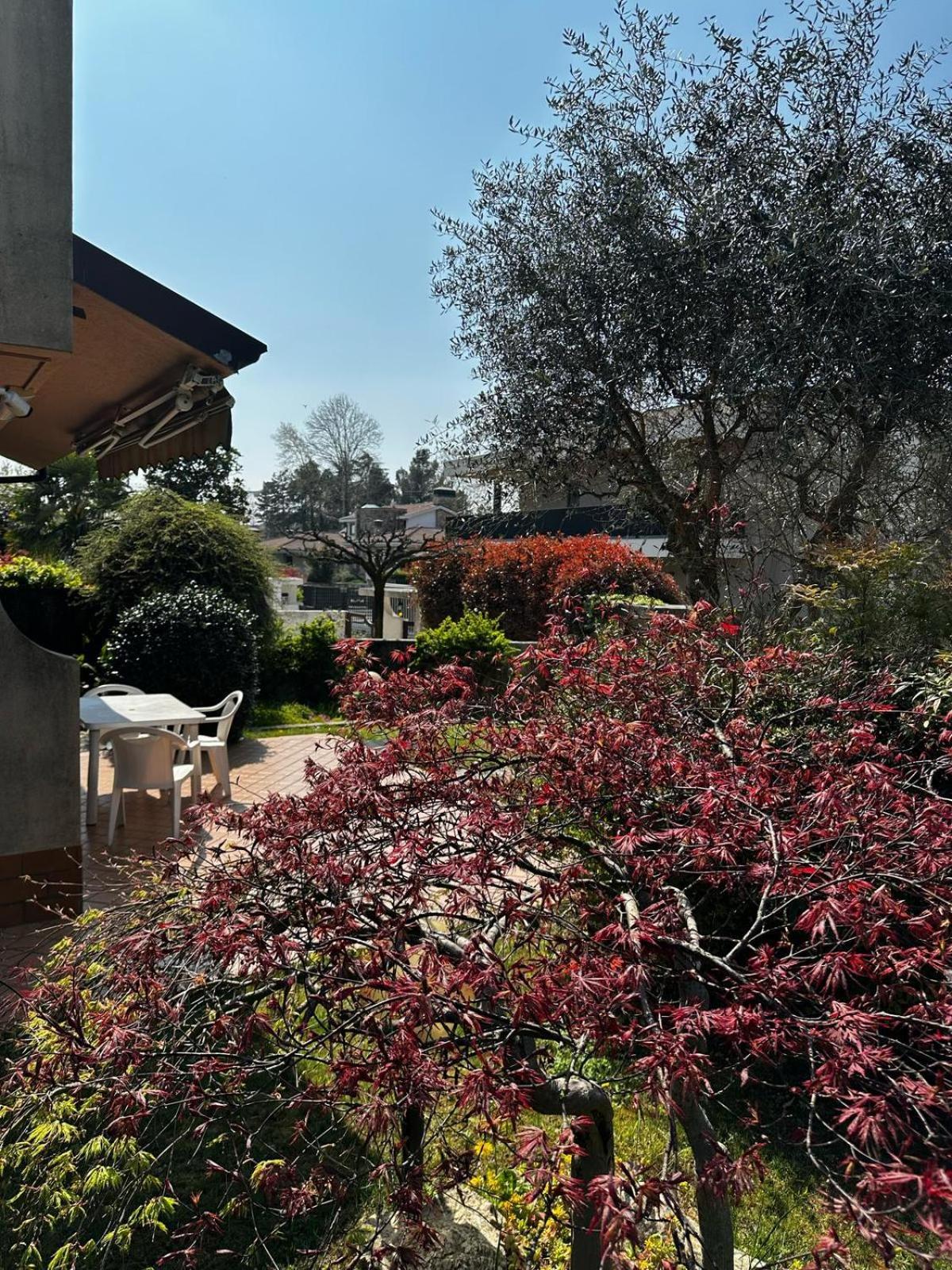 Villa Luisa Gorle Экстерьер фото