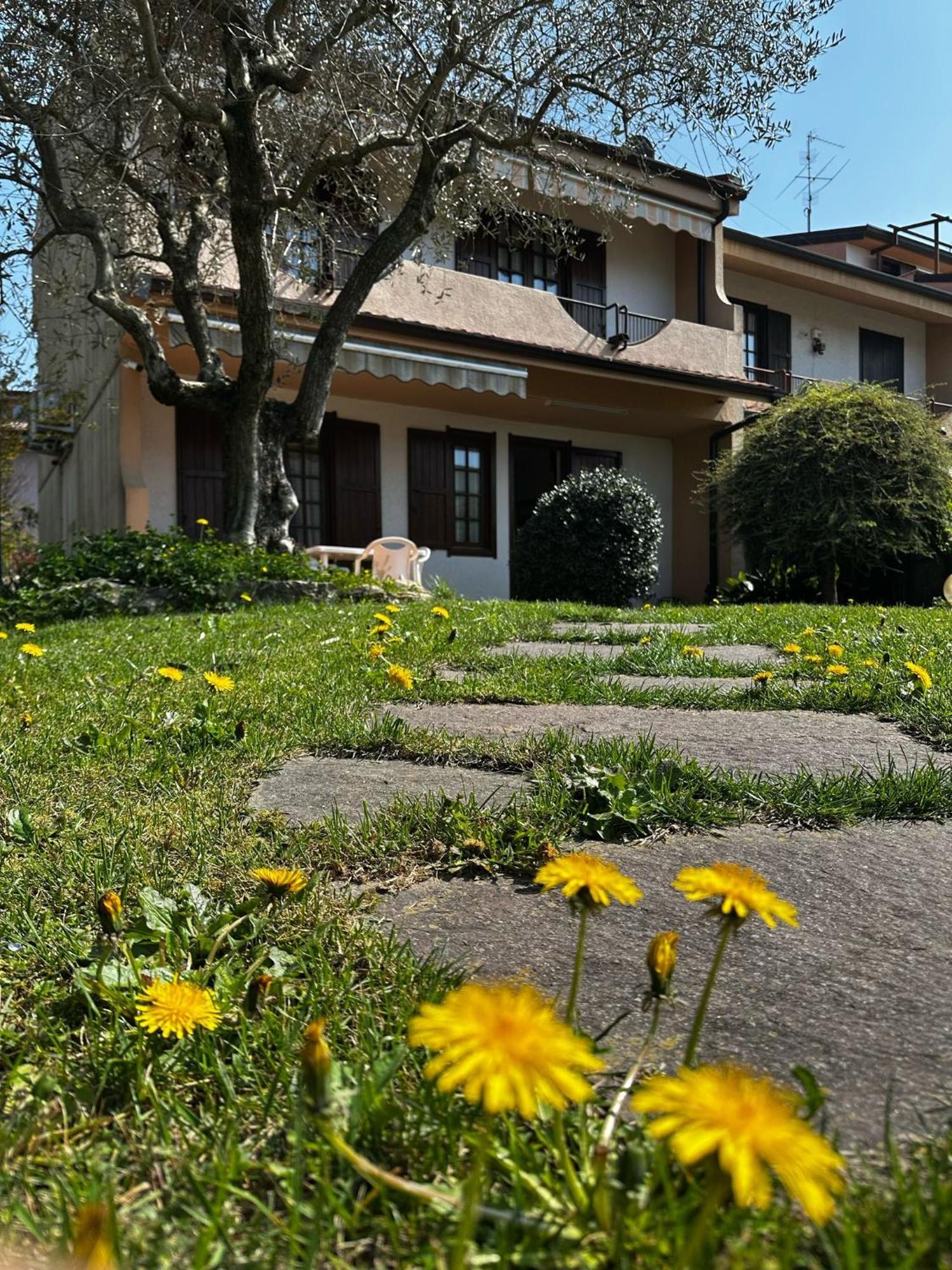 Villa Luisa Gorle Экстерьер фото